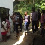 Sortie Bonobos